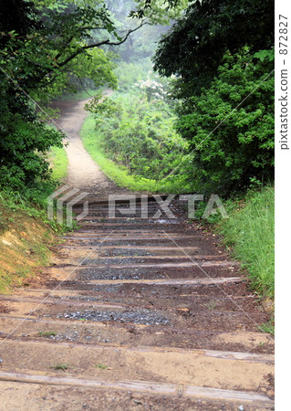 我走在山路上 872827