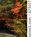 Autumn colors 873057