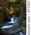 Autumn colors 873067