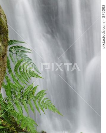 Waterfall rocky fern Waterfall rocky fern 873092