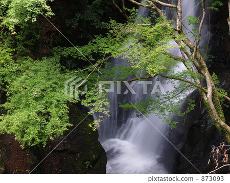 Momiji and a waterfall (Ogitaki) 1 Momiji and a waterfall (Ogitaki) 1 873093