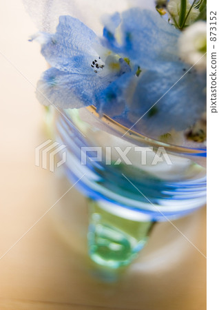 乾花 假花 花朵 873152