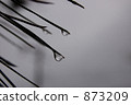 drop, drip, dew drop 873209