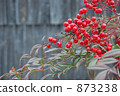 southern sky, fruit, ball 873238