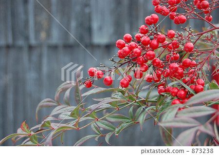 southern sky, fruit, ball 873238