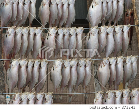 Muneyuki Curry 873243