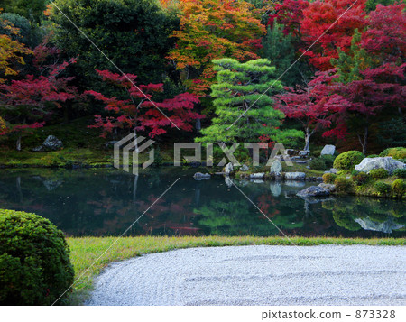 天龍寺 索亙奇池 池塘 873328