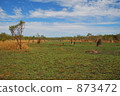 Litchfield National Park · Arizuka 873472
