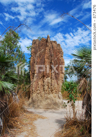 Litchfield National Park · Gigantic Ali Mound Litchfield National Park · Gigantic Ali Mound 873476