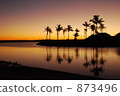 Palm tree, evening landscape 873496