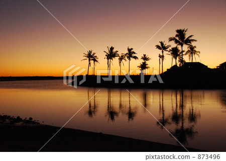 Palm tree, evening landscape 873496