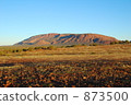 Mount Augustus 873500
