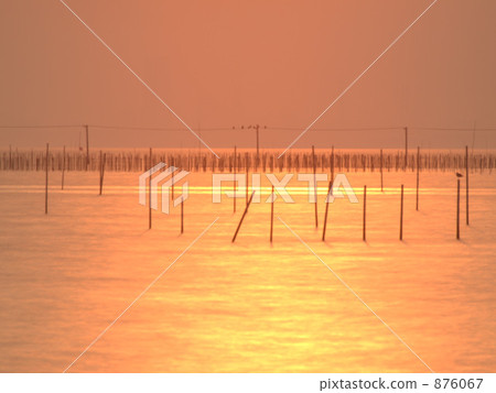 海 大海 海洋 876067