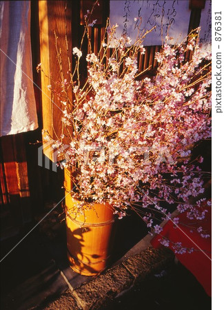 Kyoto's restaurant Kyoto's restaurant 876381