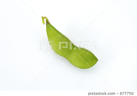白山爸爸豆 白山爸爸豆 877750