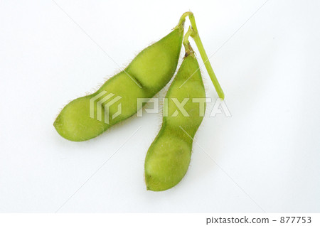 白山爸爸豆 白山爸爸豆 877753