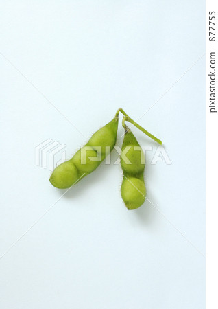 白山爸爸豆 877755