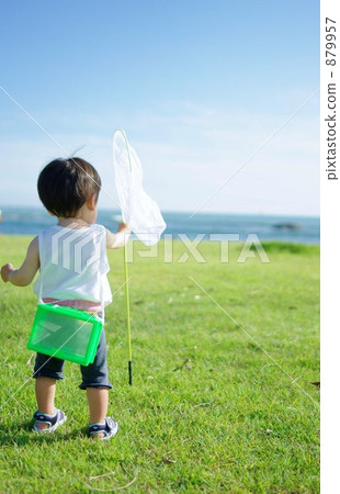 I'm going to catch insects ~ 879957