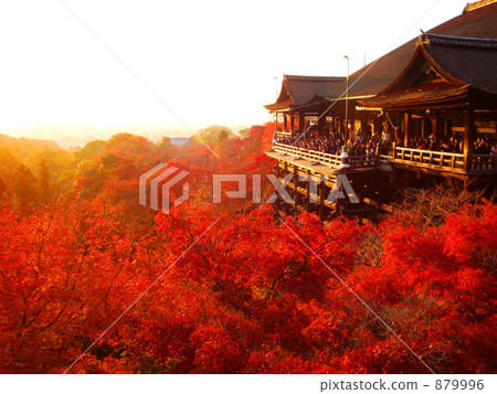 nave, main temple building, world heritage 879996