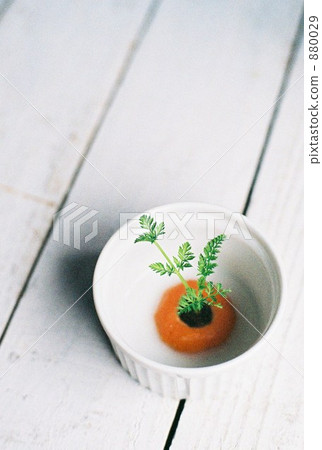 Eco cultivation. Ginseng leaf hydroponic culture 880029