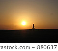 Sunset girl dog 880637