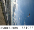 kite surfing, kite-surfing, kitesurfing 881077