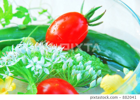 Vegetables and flowers Vegetables and flowers 882041