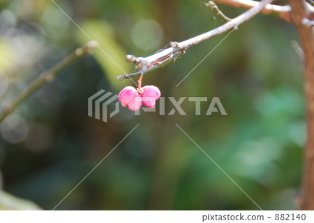 小愛的故事 小愛的故事 882140