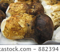 Matsutake 882394