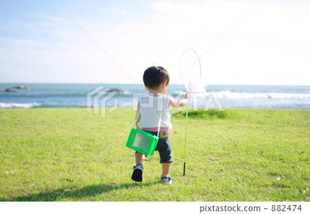 Looking for insects Rearview Looking for insects Rearview 882474