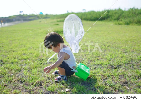 Children who fall down without insects getting caught Children who fall down without insects getting caught 882496