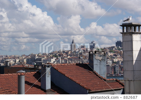 Turkey · Istanbul Seagulls resting wings with chimneys in Old Town Turkey · Istanbul Seagulls resting wings with chimneys in Old Town 882687