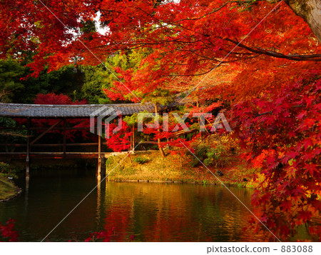 garyochi, garyo pond, wolong corridor 883088