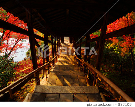 佛寺 東山 地面 883109