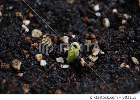 很高興見到你你好 883115