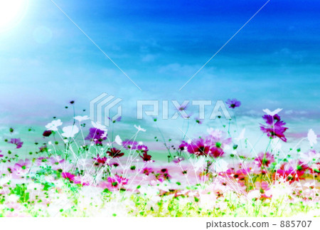 秋天/記憶的章節 885707