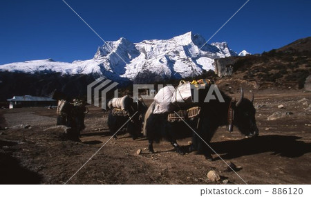 喜馬拉雅山 886120