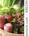 蔬菜 886290