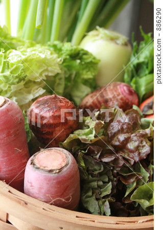 蔬菜 886290