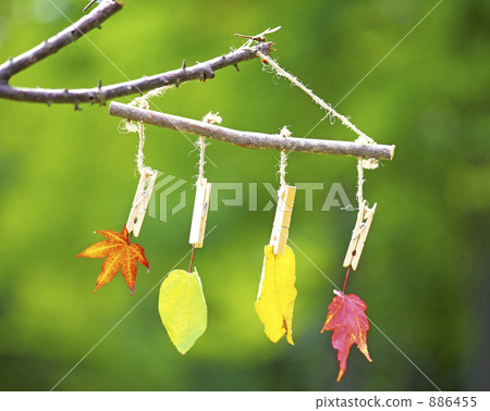 Hanger that hung the fallen leaves 886455