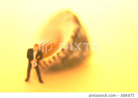 shell, shellfish, male 886875
