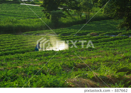 農藥噴灑 農藥噴灑 887662