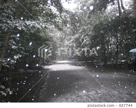 降雪 道 道路 887744