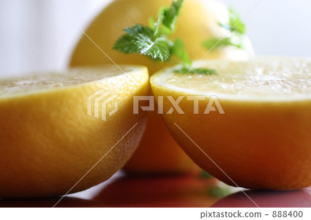 grapefruit grapefruit 888400