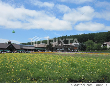 Farm Tomita's balloon Farm Tomita's balloon 888403
