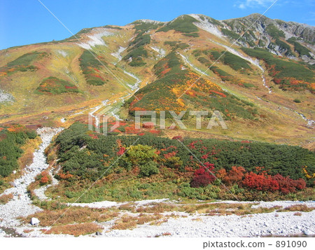 Autumn leaves mountain 891090