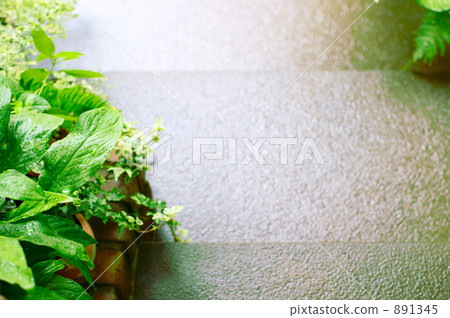 Green and stairs Green and stairs 891345