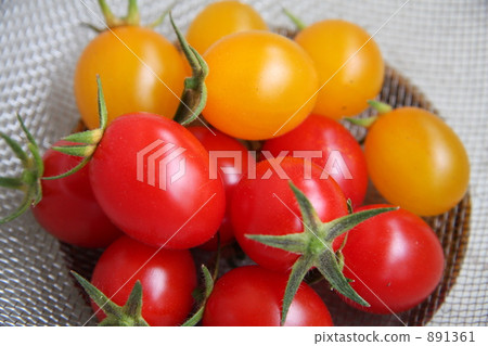mini tomato, miniature tomato, sheen 891361