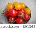 gloss, mini tomato, miniature tomato 891362