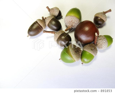 橡果 秋天 秋 891853